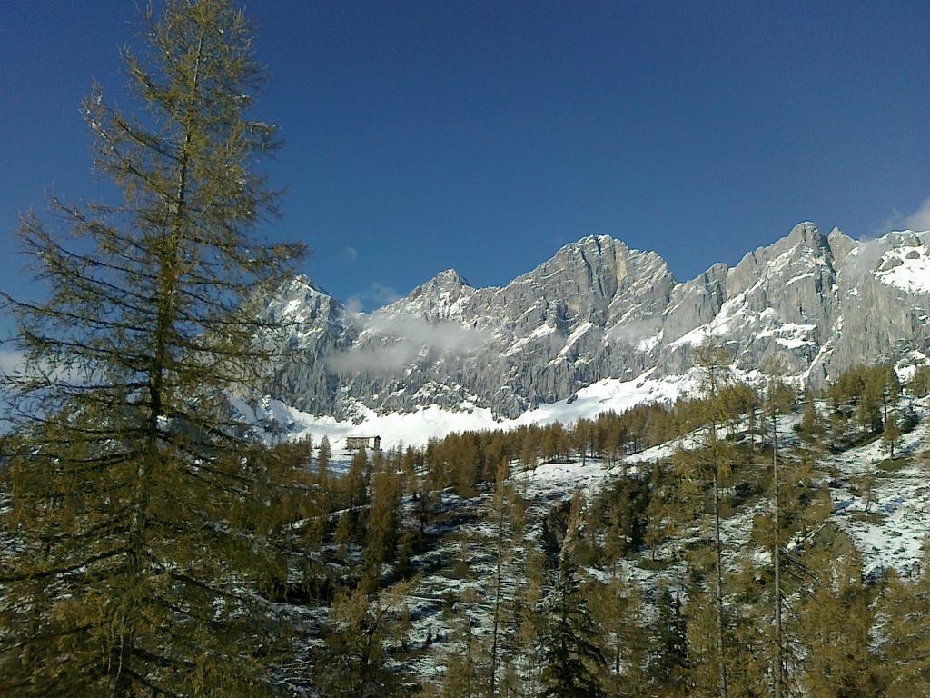 Gloesalm Lejlighed Ramsau am Dachstein Værelse billede