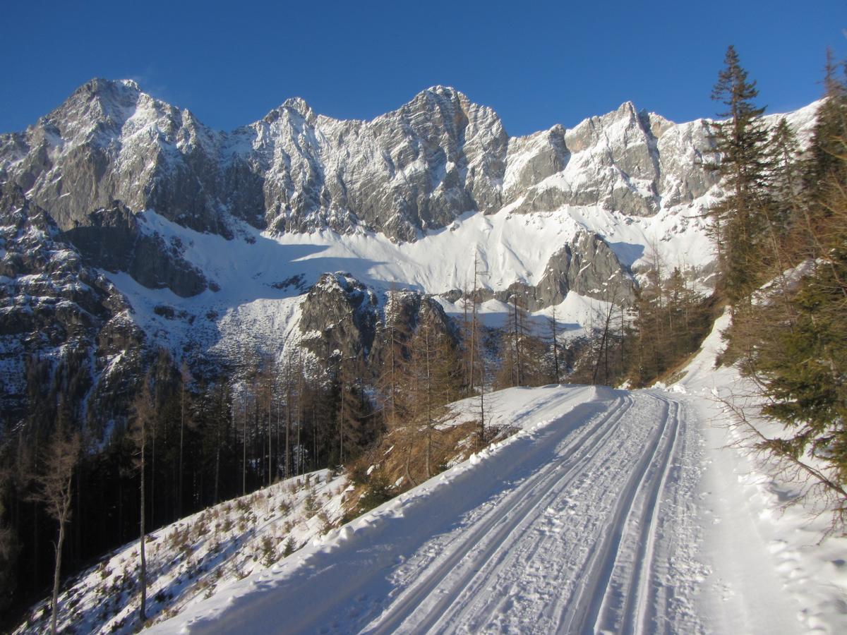 Gloesalm Lejlighed Ramsau am Dachstein Eksteriør billede